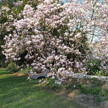 La Maison Dans Le Parc 3*